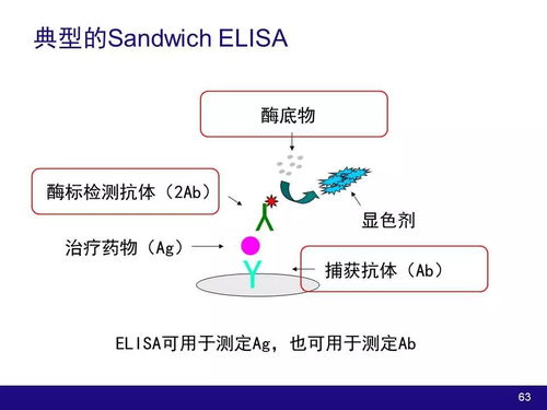 生物技術(shù)產(chǎn)品及大分子物質(zhì)開(kāi)發(fā)中的藥動(dòng)學(xué)與藥效學(xué)考量